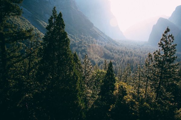 中山市 滴定管检测机构有几家