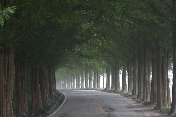 监控显示器无信号怎么办