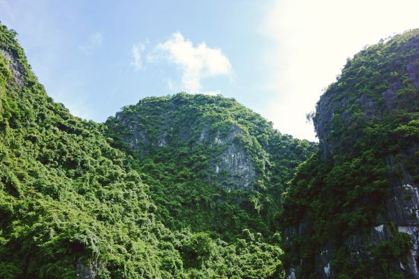 外地人可以在深圳办理港澳通行证吗(**外地人可以在深圳办理港澳通行证**)